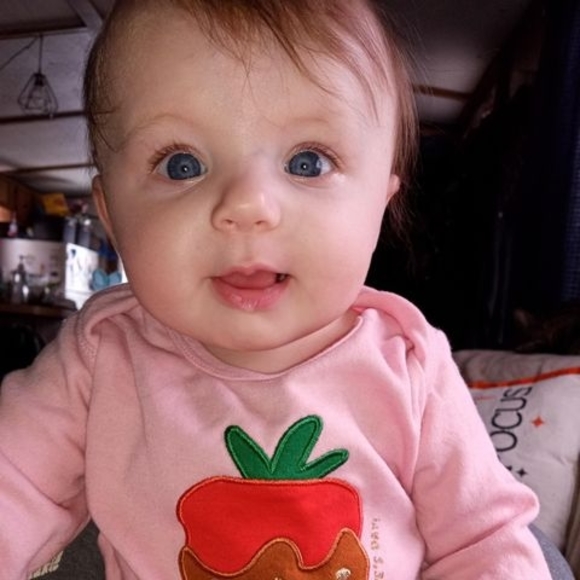 Meet your Posher, Brittany - Picture 1 of 1